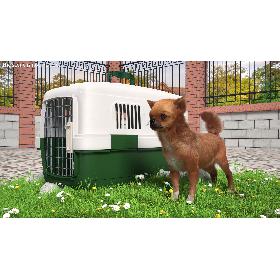 Chihuahua in the Pet Carrier with Fur 3D model